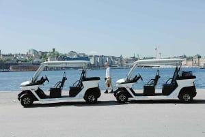 Private golfbil-turer i Stockholm