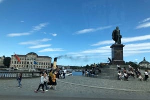 Stockholm: Private Guided Car Tour and Vasa Museum Entry