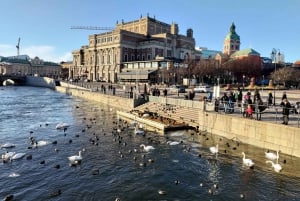 Tukholma: Yksityinen opastettu autokierros ja sisäänpääsy Vasa-museoon