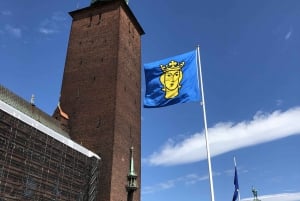 Estocolmo: passeio de carro guiado privado e entrada no Museu Vasa