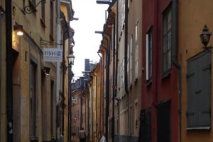 Stoccolma: tour guidato privato in auto e ingresso al Museo Vasa