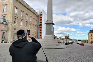 Stockholm : visite guidée privée en voiture et entrée au musée Vasa