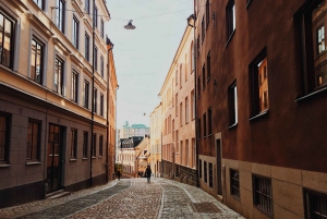 Estocolmo: Visita Histórica Privada con un Experto Local