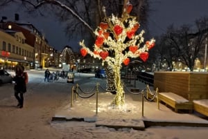 Stockholm: Private magische schwedische Weihnachtstour 2h