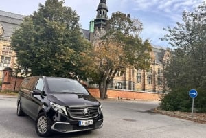 Stoccolma: tour della città e Sigtuna vichinga in auto privata