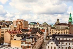 Stockholm: Privat anpassad rundvandring med personlig värd