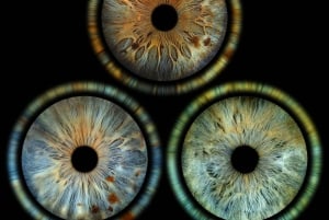 Stockholm: Reveal Your Eye Experience at the Iris Galerie