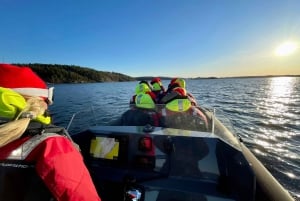 Sztokholm: 2-godzinna wycieczka szybką łodzią RIB po archipelagu