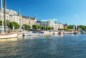 Stockholm : Tour en bateau du Royal Djurgården