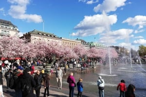 Estocolmo: Arquitetura Escandinava e Design Ostermalm Tour