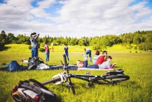 Stockholm: Självguidad GPS cykeltur