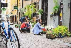 Sztokholm: wycieczka rowerowa z przewodnikiem GPS
