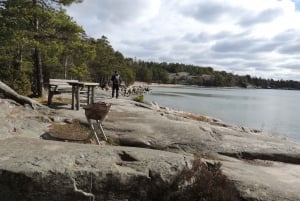 Stockholm: Självguidad vandring i vacker natur