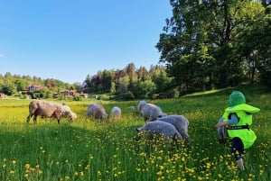 Stockholm: zelfstandige kajakavontuur in natuurreservaat