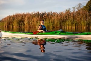 Stockholm: zelfstandige kajakavontuur in natuurreservaat