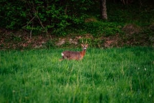 Stockholm: zelfstandige kajakavontuur in natuurreservaat