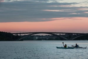 Stockholm: Selvguidet kajaktur 1 eller 2 personers kajakudlejning