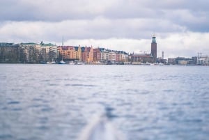 Stockholm: Selvguidet kajaktur 1 eller 2 personers kajakudlejning