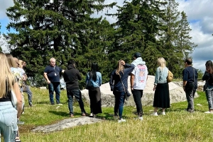 Стокгольм: однодневный тур по истории викингов в Сигтуне и Уппсале