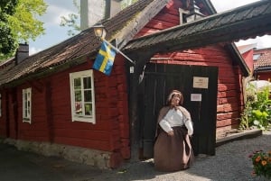 Stockholm: Sigtuna Guided Boat Tour with Optional Museum