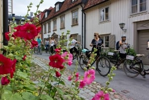 Stockholm: El-sykkeltur til Södermalm