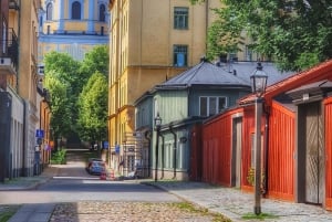 Stockholm: Södermalm Walking Tour with Katarinaberget Views