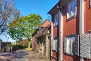 Stockholm: Södermalm Walking Tour with Katarinaberget Views