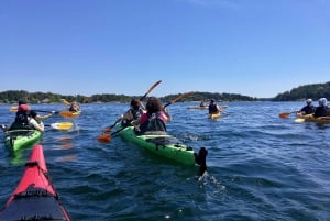 Estocolmo: Excursão de 1 dia em caiaque pelo Arquipélago de Estocolmo