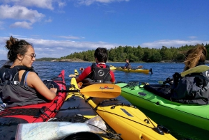 Estocolmo: Excursión en kayak de día completo por el archipiélago de Estocolmo
