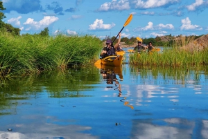 Stoccolma: Tour dell'arcipelago di Stoccolma in kayak di un giorno intero