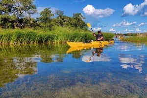 Stockholm: Stockholm Archipelago Full-Day Kayak Tour