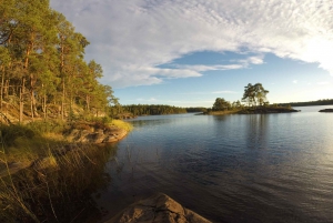 Stockholm : Randonnée estivale dans la nature