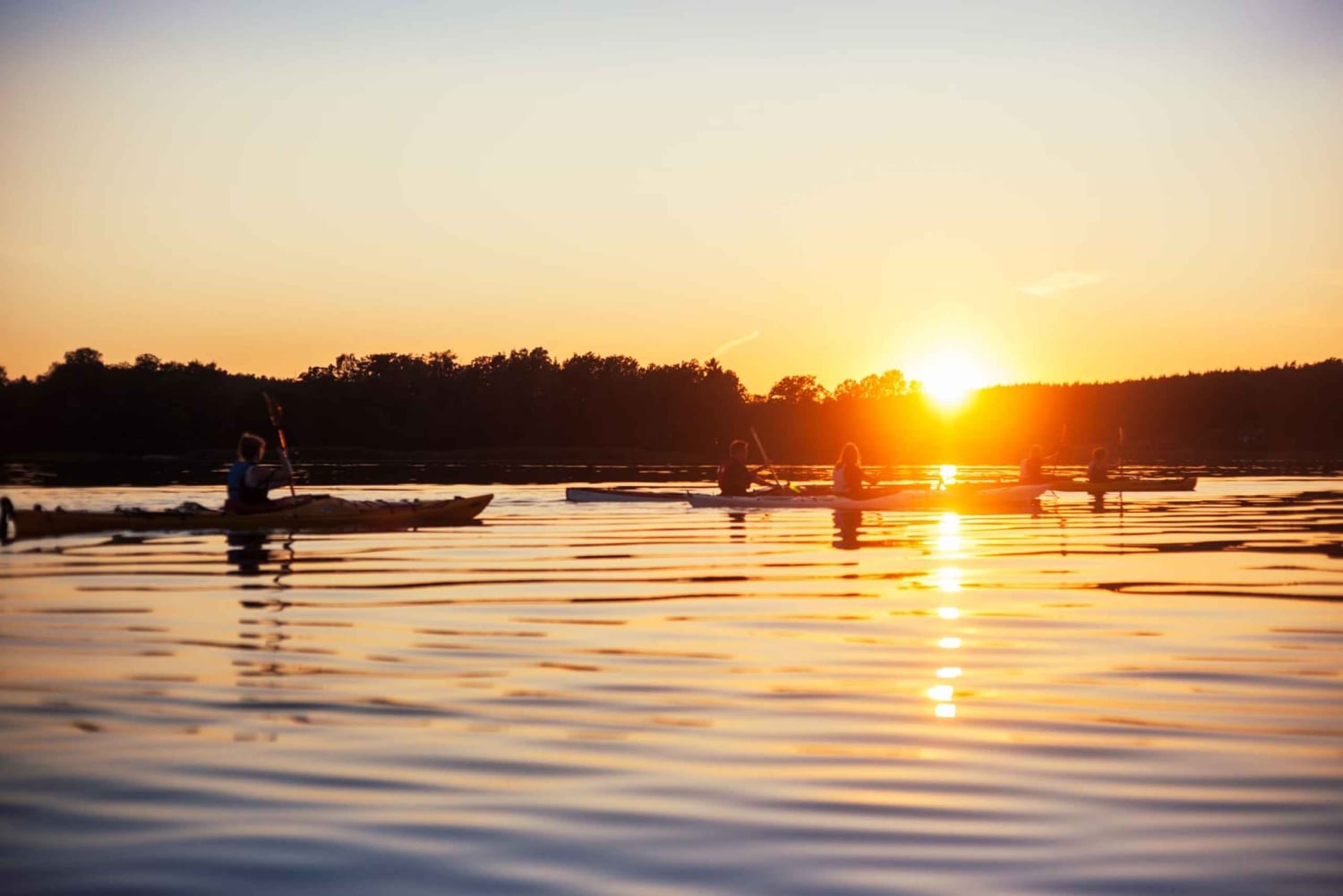 Kajak i Stockholm: Kajakpaddling i skärgården & Toast on the Water i solnedgången