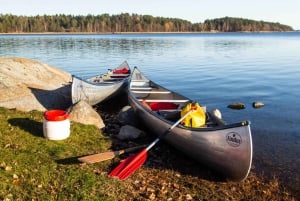 Stockholm: Sunset Canoe Beaver Safari & BBQ on Island