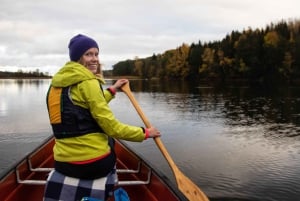 Stockholm: Sunset Canoe Beaver Safari & BBQ on Island