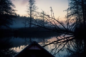 Stockholm: Sunset Canoe Beaver Safari & BBQ on Island