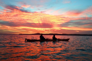 Stockholm: Sunset Kayak Tour in Stockholm’s Archipelago
