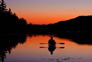 Stockholm: Sunset Kayak Tour in Stockholm’s Archipelago