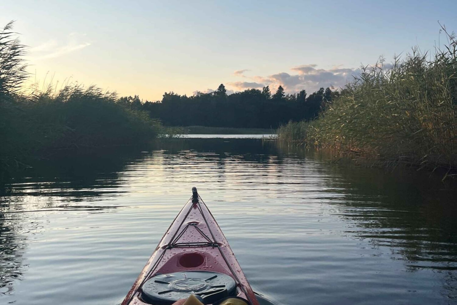 Stockholm: Kajaktur i skærgården ved solnedgang + fika