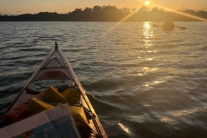 Sztokholm: Wycieczka kajakiem o zachodzie słońca na archipelagu + fika