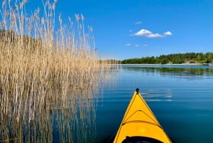 Stoccolma: Tour in kayak al tramonto nell'arcipelago + Fika