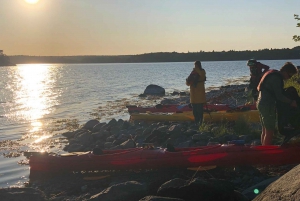 Stockholm: Sunset Kayak Tour in the Archipelago + Fika