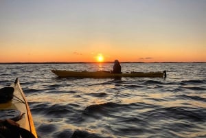 Stockholm: Kajaktur i skærgården ved solnedgang + fika