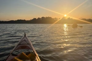 Stockholm: Kajaktur i skærgården ved solnedgang + fika