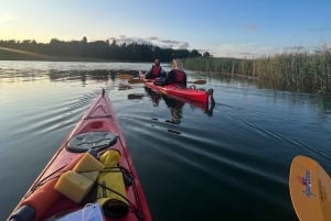 Stockholm: Kajaktur i skærgården ved solnedgang + fika