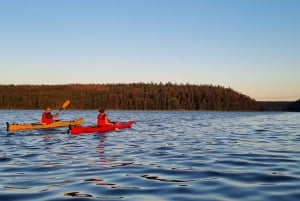 Sztokholm: Wycieczka kajakiem o zachodzie słońca po jeziorze Mälaren z herbatą i ciastem