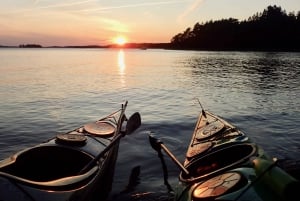 Stockholm : Excursion en kayak au coucher du soleil sur le lac Mälaren avec thé et gâteau