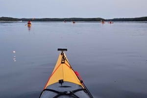 Stockholm: Sunset Kayak Tour on Lake Mälaren with Tea & Cake