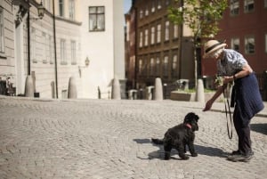 Síndrome de Estocolmo: excursão a pé de 3 horas