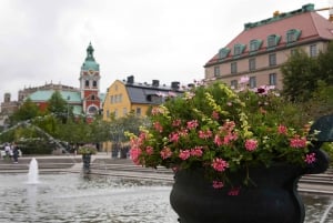 Stockholm Syndrome: 3-Hour Private Walking Tour